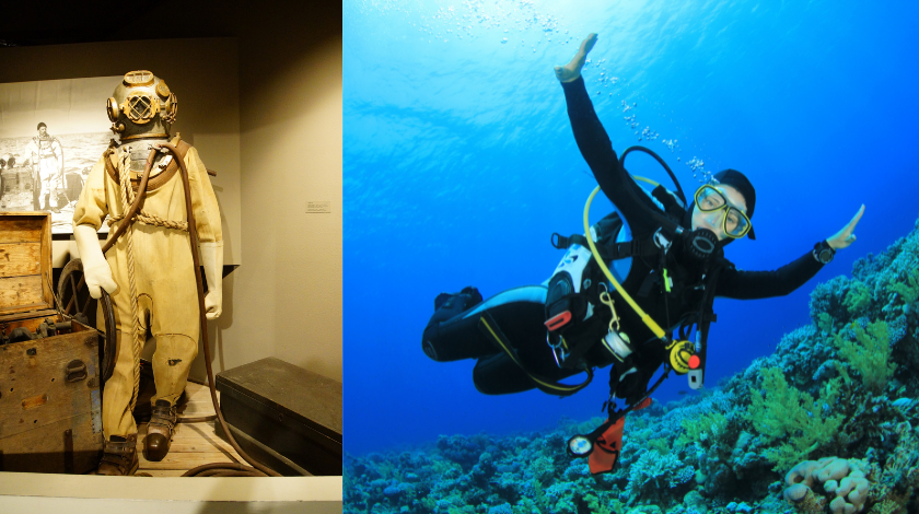Suit Diving Suit